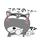 今日は、黒柴くん（個別スタンプ：22）
