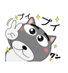今日は、黒柴くん（個別スタンプ：23）