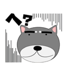 今日は、黒柴くん（個別スタンプ：24）