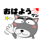 今日は、黒柴くん（個別スタンプ：26）