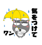 今日は、黒柴くん（個別スタンプ：30）