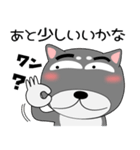 今日は、黒柴くん（個別スタンプ：34）