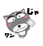 今日は、黒柴くん（個別スタンプ：37）