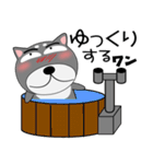 今日は、黒柴くん（個別スタンプ：39）