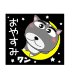 今日は、黒柴くん（個別スタンプ：40）