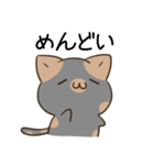 毎日五月病なねこたち 大阪 関西弁（個別スタンプ：17）