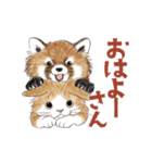 ゆかいな猫と動物たちのスタンプwith関西（個別スタンプ：1）