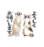 ゆかいな猫と動物たちのスタンプwith関西（個別スタンプ：5）