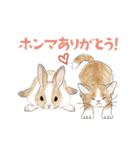 ゆかいな猫と動物たちのスタンプwith関西（個別スタンプ：7）