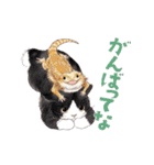 ゆかいな猫と動物たちのスタンプwith関西（個別スタンプ：9）