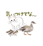 ゆかいな猫と動物たちのスタンプwith関西（個別スタンプ：10）