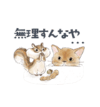 ゆかいな猫と動物たちのスタンプwith関西（個別スタンプ：11）