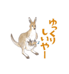 ゆかいな猫と動物たちのスタンプwith関西（個別スタンプ：13）