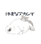 ゆかいな猫と動物たちのスタンプwith関西（個別スタンプ：14）
