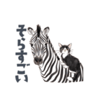 ゆかいな猫と動物たちのスタンプwith関西（個別スタンプ：18）