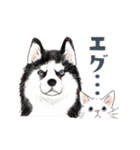 ゆかいな猫と動物たちのスタンプwith関西（個別スタンプ：22）