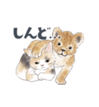 ゆかいな猫と動物たちのスタンプwith関西（個別スタンプ：23）