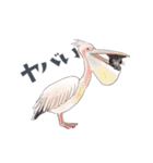 ゆかいな猫と動物たちのスタンプwith関西（個別スタンプ：24）
