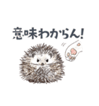 ゆかいな猫と動物たちのスタンプwith関西（個別スタンプ：25）