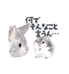 ゆかいな猫と動物たちのスタンプwith関西（個別スタンプ：26）