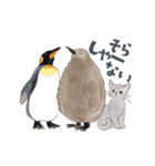 ゆかいな猫と動物たちのスタンプwith関西（個別スタンプ：27）