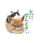 ゆかいな猫と動物たちのスタンプwith関西（個別スタンプ：28）