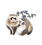 ゆかいな猫と動物たちのスタンプwith関西（個別スタンプ：30）