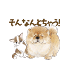 ゆかいな猫と動物たちのスタンプwith関西（個別スタンプ：31）