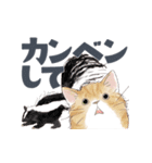 ゆかいな猫と動物たちのスタンプwith関西（個別スタンプ：36）