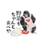 ゆかいな猫と動物たちのスタンプwith関西（個別スタンプ：37）