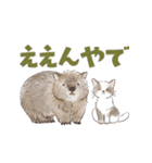 ゆかいな猫と動物たちのスタンプwith関西（個別スタンプ：39）