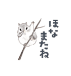 ゆかいな猫と動物たちのスタンプwith関西（個別スタンプ：40）