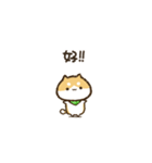 【動く】豆しばくん☆台湾（個別スタンプ：5）