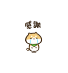 【動く】豆しばくん☆台湾（個別スタンプ：16）