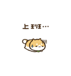 【動く】豆しばくん☆台湾（個別スタンプ：24）