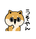 関西弁のしばいぬ【大阪府】（個別スタンプ：9）