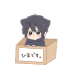 くろねこぼーい（個別スタンプ：20）