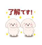 ふたごの白トイプードル（個別スタンプ：2）