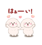 ふたごの白トイプードル（個別スタンプ：3）