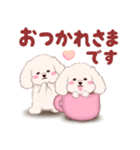 ふたごの白トイプードル（個別スタンプ：4）