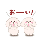 ふたごの白トイプードル（個別スタンプ：5）