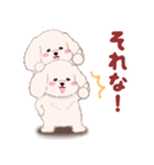 ふたごの白トイプードル（個別スタンプ：9）