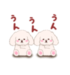 ふたごの白トイプードル（個別スタンプ：10）