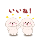 ふたごの白トイプードル（個別スタンプ：11）