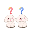 ふたごの白トイプードル（個別スタンプ：12）