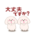 ふたごの白トイプードル（個別スタンプ：13）