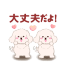 ふたごの白トイプードル（個別スタンプ：14）