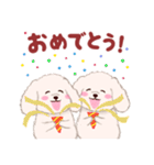 ふたごの白トイプードル（個別スタンプ：19）