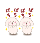 ふたごの白トイプードル（個別スタンプ：20）
