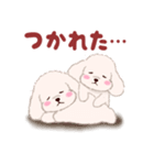 ふたごの白トイプードル（個別スタンプ：24）